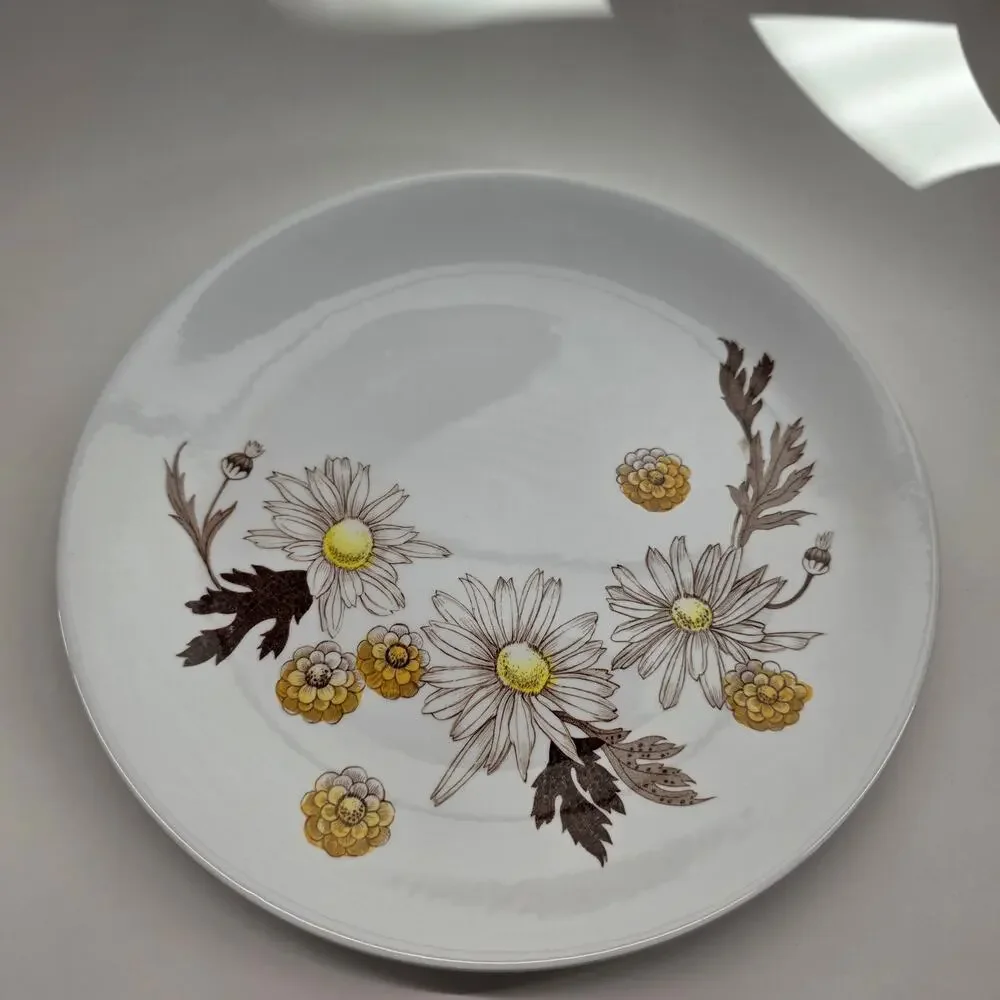 Johnson Bros Daisies Won't Tell Ironstone Dinner Plates 10